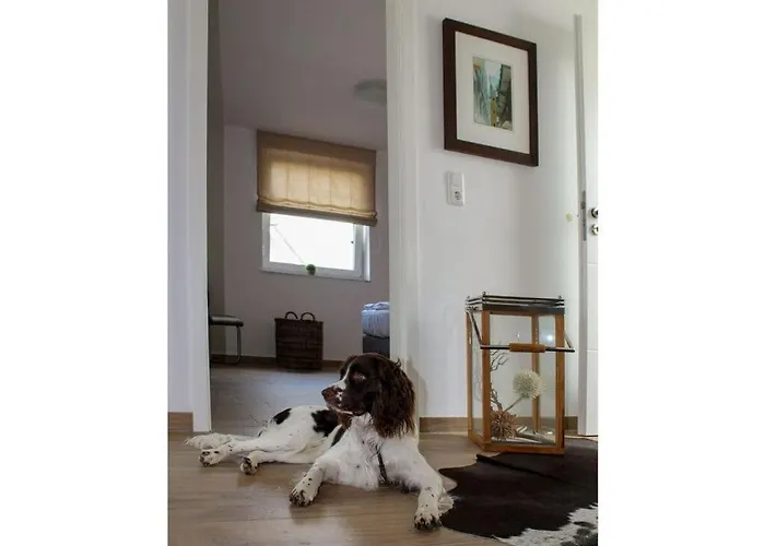 Haus Seeblick Modern Retreat Feriehus